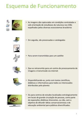 As imagens são capturadas em condições controladas e sob orientação de estudiosos da natureza nos CEBs espalhados pelos diversos ecossistemas brasileiros Em seguida, são processadas e catalogadas  Para serem transmitidas para um satélite Que as retransmite para um centro de processamento de imagens e transmissão via internet Disponibilizando-as, junto com textos científicos, didáticos e informativos para todos os interessados distribuídos pelo planeta Ou para centros de estudos localizados estrategicamente em locais de grande circulação de pessoas, como parte de exposições didáticas itinerantes, ou não, com o objetivo de difundir idéias conservacionistas e de educação ambiental para públicos diversificados. Esquema de Funcionamento 