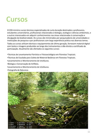 O CEB ministra cursos técnicos especializados de curta duração destinados a professores, estudantes universitários, profissionais relacionados à biologia, ecologia e ciências ambientais, e a outros interessados em adquirir conhecimentos nas áreas relacionadas à conservação e divulgação da biodiversidade. Os cursos são ministrados por pesquisadores de universidades e instituições de pesquisa e por profissionais com larga experiência prática nos diversos temas.  Todos os cursos utilizam técnicas e equipamentos de última geração, fornecem material digital com textos e imagens produzidos ao longo dos treinamentos e dão direito a certificado de participação. Atualmente são ofertados os seguintes cursos: Técnicas de Levantamento Florístico e Fitossociológico em Florestas Tropicais. Técnicas de Escalada para Coleta de Material Botânico em Florestas Tropicais. Levantamento e Monitoramento de Ictiofauna. Biologia e Conservação de Anfíbios. Levantamento e Monitoramento de Ictiofauna. Fotografia de Natureza. Cursos 11 