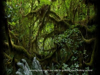 Amazing how much you take for granted when walking around
 