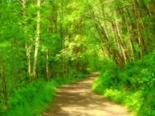 Nada é mais suave e nada é mais forte do que a água, caminha firme e lentamente, sabedora de que tem o mesmo destino do homem:  seguir em frente.   
