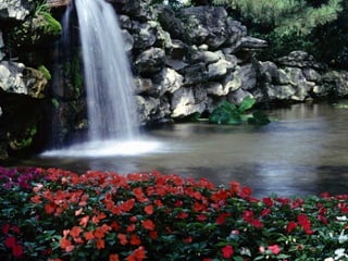 Diante de qualquer problema que lhe pareça sem solução,  tome uma atitude inteligente, a seu favor: Respire... 