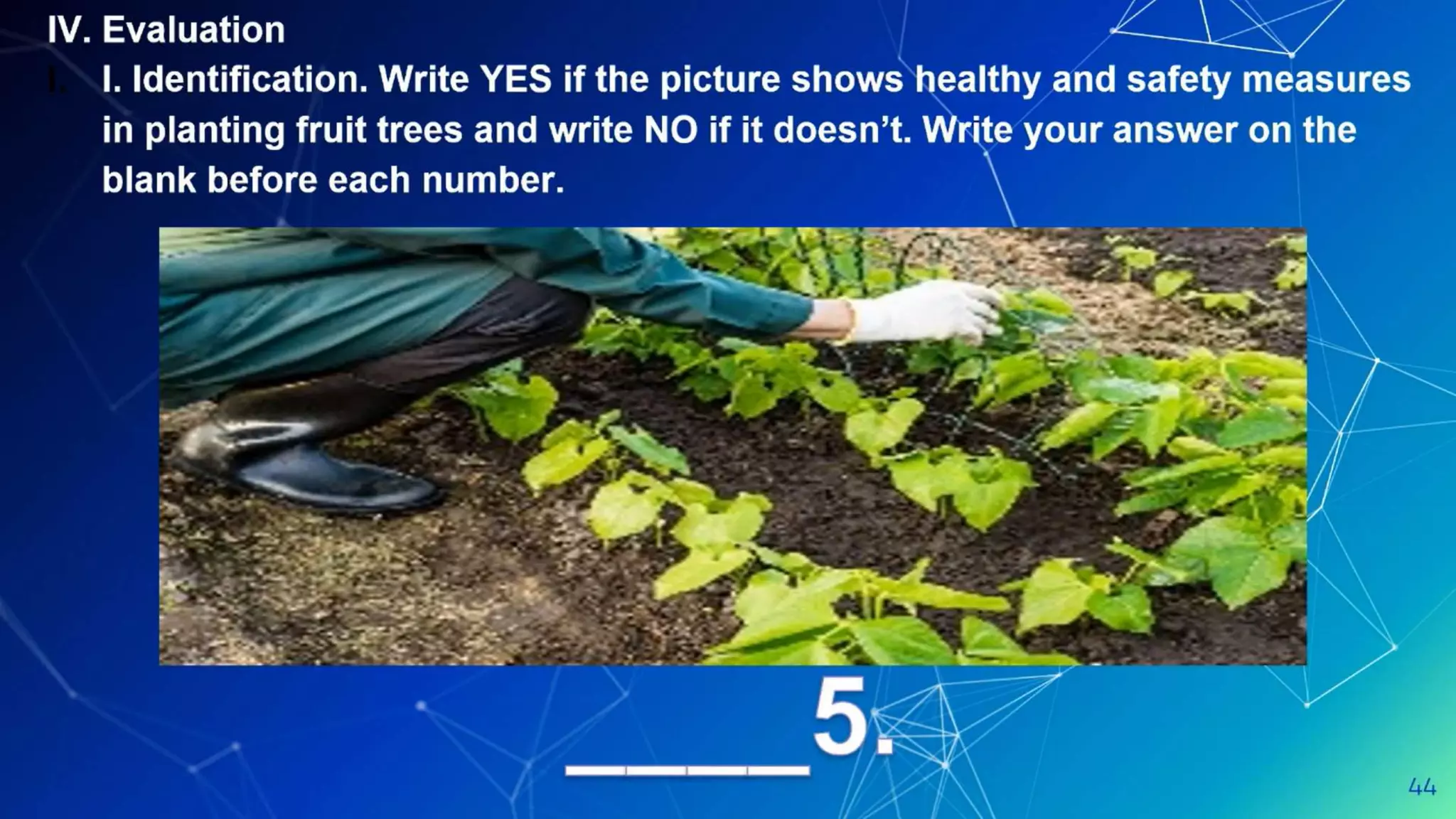 Observe healthy and safety.pptx