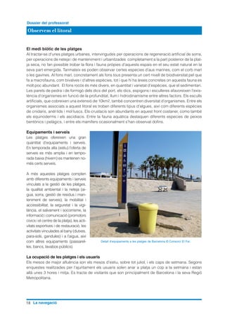 18 La navegació
Observem el litoral
Dossier del professorat
El medi biòtic de les platges
Al tractar-se d’unes platges urbanes, intervingudes per operacions de regeneració artificial de sorra,
per operacions de neteja i de manteniment i urbanitzades completament a la part posterior de la plat-
ja seca, no fan possible trobar la flora i fauna pròpies d’aquests espais en el seu estat natural en la
seva part emergida. Tanmateix es poden observar certes especies d’aus marines, com el corb marí
o les gavines. Al fons marí, concretament als fons tous presenta un cert nivell de biodiversitat pel que
fa a macrofauna, com bivalves i d’altres espècies, tot i que hi ha àrees concretes on aquesta fauna es
molt poc abundant. El fons rocós és més divers, en quantitat i varietat d’espècies, que el sedimentari.
Les parets de pedra i de formigó dels dics del port, els dics, espigons i esculleres afavoreixen l’exis-
tència d’organismes en funció de la profunditat, llum i hidrodinamisme entre altres factors. Els esculls
artificials, que cobreixen una extensió de 10km2, també concentren diversitat d’organismes. Entre els
organismes associats a aquest litoral es troben diferents tipus d’algues, així com diferents espècies
de cnidaris, anèl·lids i mol·luscs. Els crustacis son abundants en aquest front costaner, como també
els equinoderms i els ascidiacis. Entre la fauna aquàtica destaquen diferents especies de peixos
bentònics i pelàgics, i entre els mamífers ocasionalment s’han observat dofins.
Equipaments i serveis
Les platges ofereixen una gran
quantitat d’equipaments i serveis.
En temporada alta (estiu) l’oferta de
serveis es més amplia i en tempo-
rada baixa (hivern) es mantenen no-
més certs serveis.
A més aquestes platges compten
amb diferents equipaments i serveis
vinculats a la gestió de les platges,
la qualitat ambiental i la neteja (ai-
gua, sorra, gestió de residus i man-
teniment de serveis), la mobilitat i
accessibilitat, la seguretat i la vigi-
lància, el salvament i socorrisme, la
informació i comunicació (promotors
cívics i el centre de la platja), les acti-
vitats esportives i de restauració, les
activitats vinculades al bany (dutxes,
para-sols, gandules) i a l’aigua, així
com altres equipaments (passarel·
les, bancs, lavabos públics).
La ocupació de les platges i els usuaris
Els mesos de major afluència son els mesos d’estiu, sobre tot juliol, i els caps de setmana. Segons
enquestes realitzades per l’ajuntament els usuaris solen anar a platja un cop a la setmana i estan
allà unes 3 hores i mitja. Es tracta de visitants que son principalment de Barcelona i la seva Regió
Metropolitana.
Detall d’equipaments a les platges de Barcelona © Consorci El Far.
 