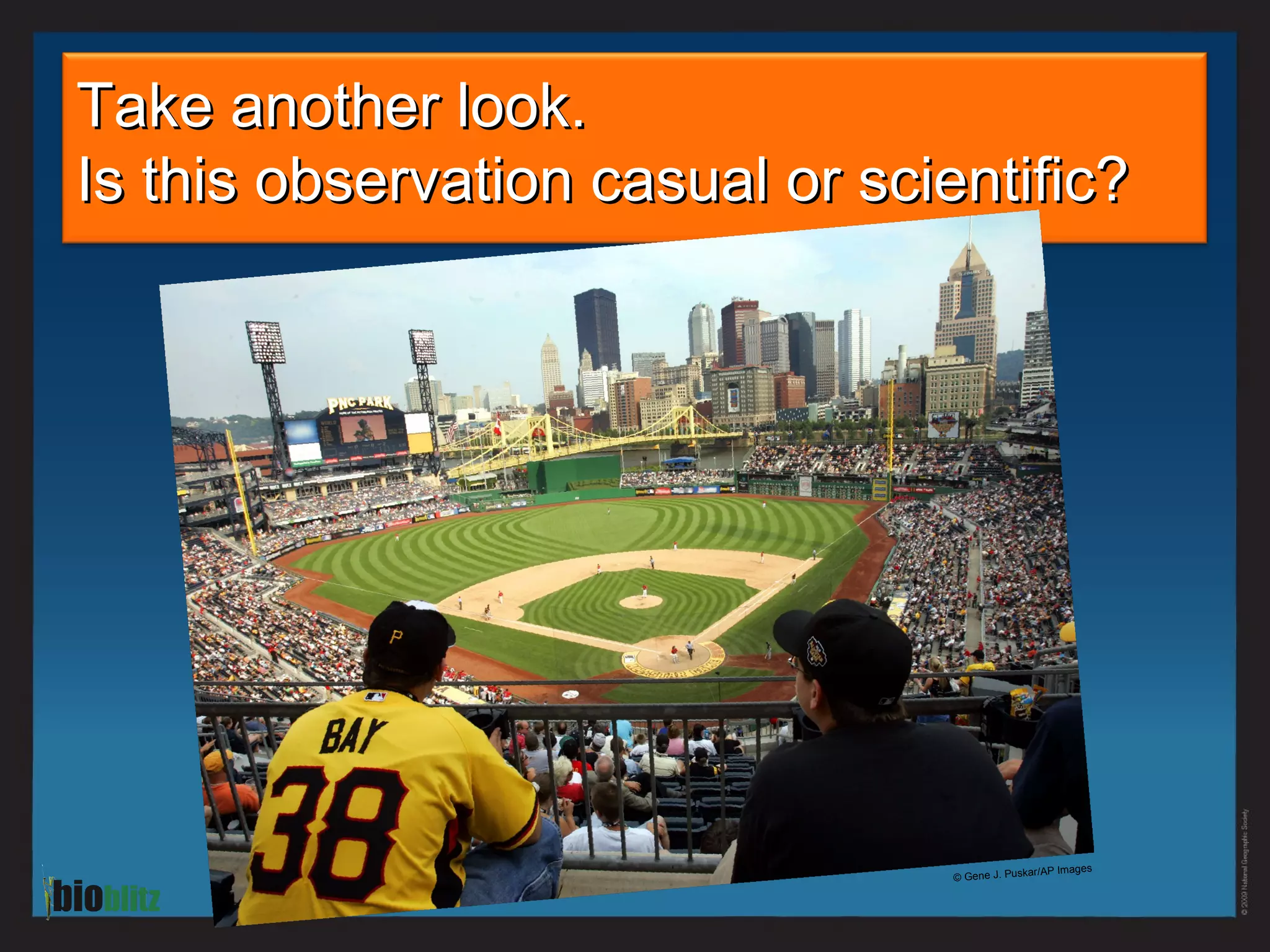 Take another look.  Is this observation casual or scientific?  © Gene J. Puskar/AP Images 