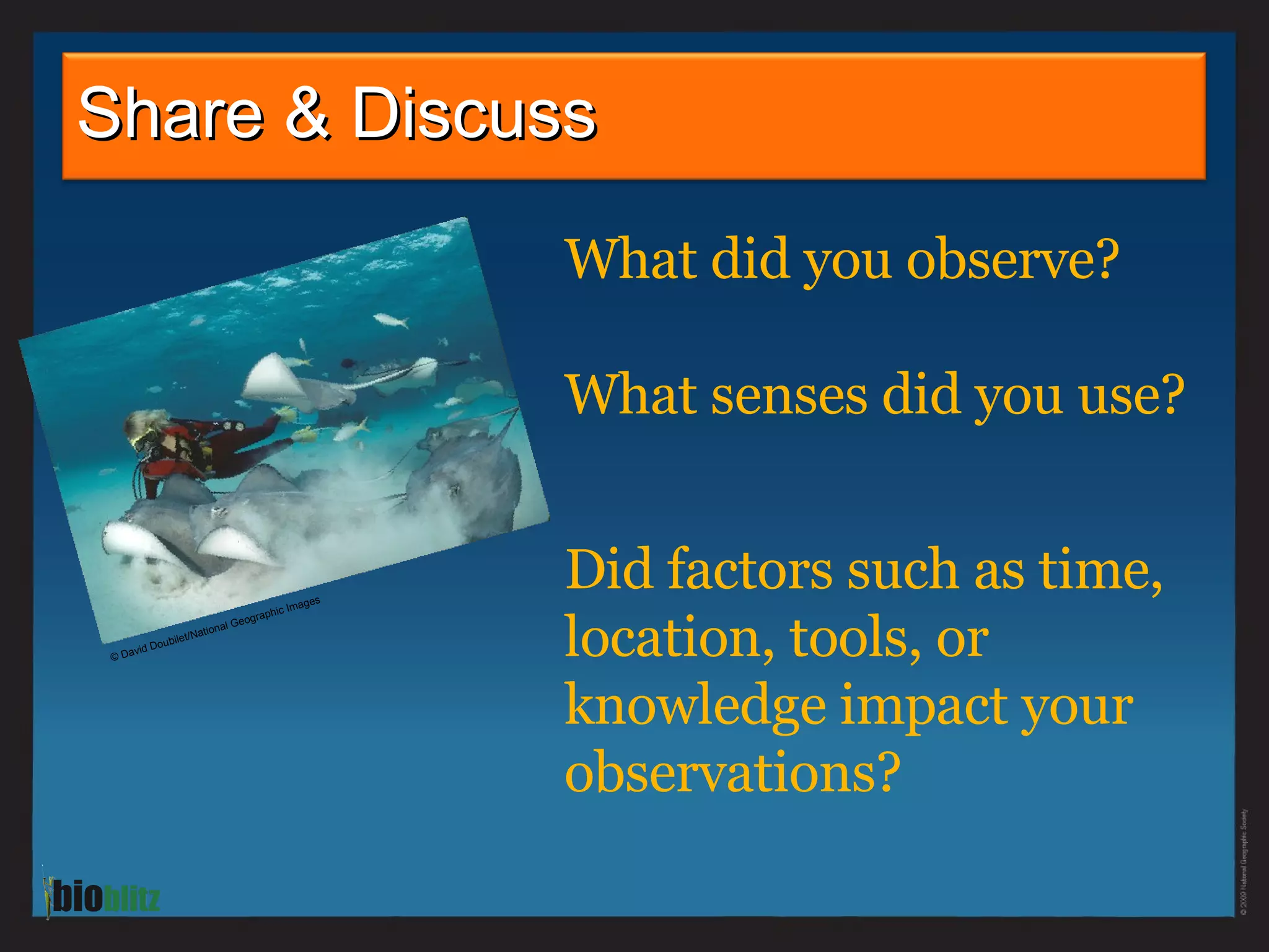 What did you observe? What senses did you use? Share & Discuss Did factors such as time, location, tools, or knowledge impact your observations? © David Doubilet/National Geographic Images 