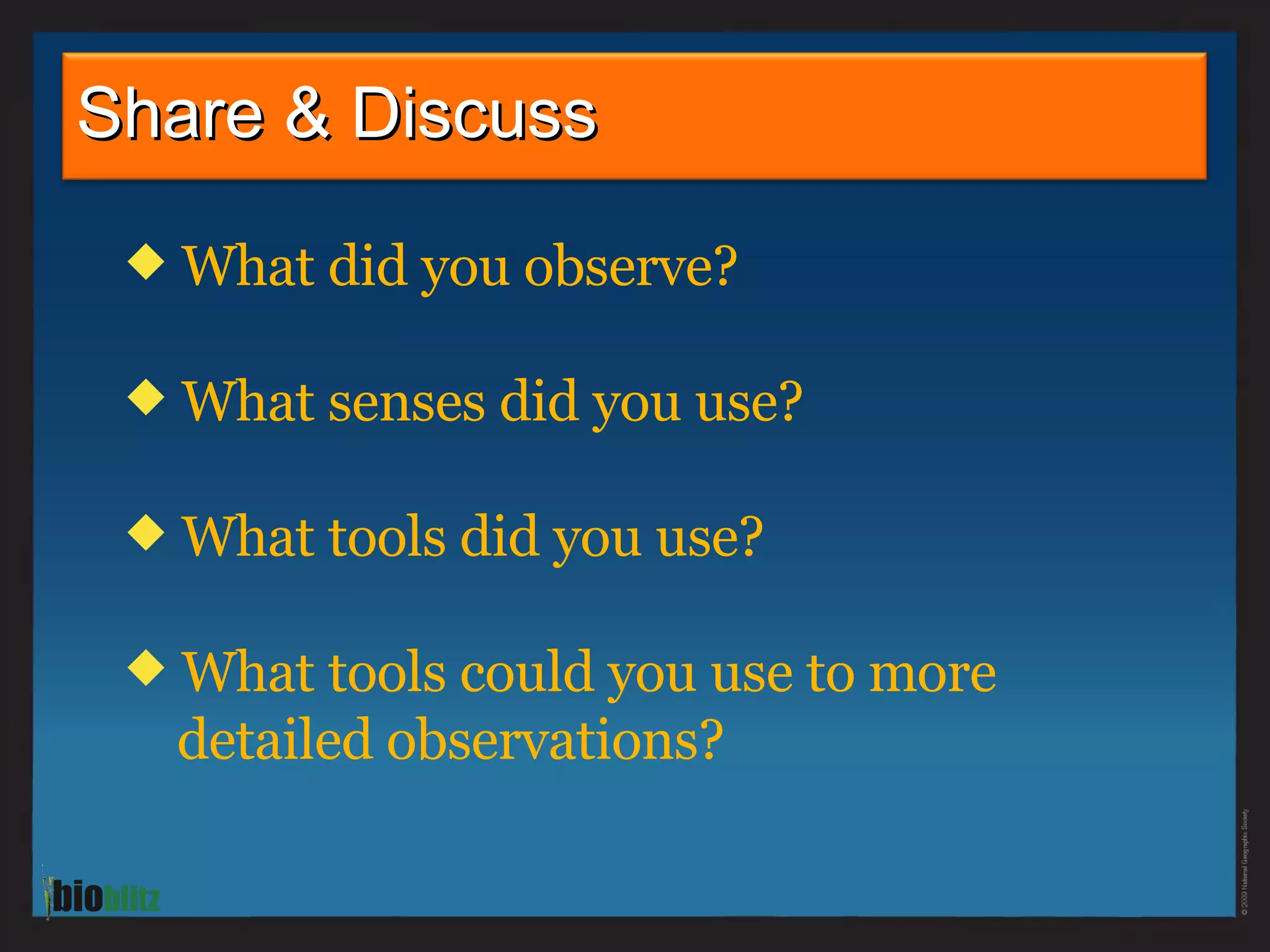 What did you observe? What senses did you use? What tools did you use? What tools could you use to more    detailed observations? Share & Discuss 