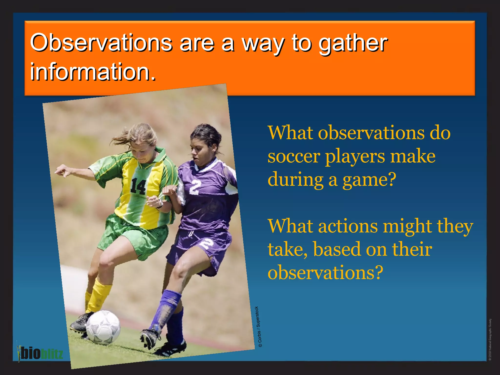 What observations do soccer players make during a game?  What actions might they take, based on their observations?  Observations are a way to gather information. Photo credit here © Corbis / Superstock 