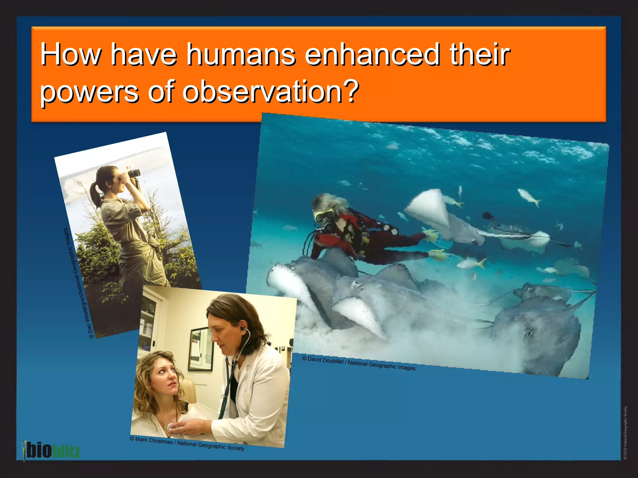 How have humans enhanced their powers of observation?  © Mark Christmas / National Geographic Society © Dan Westergren/National Geographic Images; © David Doubillet / National Geographic Images;  