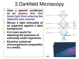 2.Darkfield Microscopy Uses a special condenser w/ an  opaque disc  that block light from entering the objective lens directly . Shows a light silhouette of an organism against a dark background. It is most useful for detecting the presence of extremely small organisms. Examine unstained microorganisms suspended in a media. 