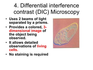 4. Differential interference contrast (DIC) Microscopy Uses 2 beams of light separated by a prisms. Provides a colored,  3-dimensional image  of the object being observed. It allows detailed observations of  living cells. No staining is required 