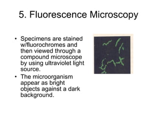 5. Fluorescence Microscopy Specimens are stained w/fluorochromes and then viewed through a compound microscope by using ultraviolet light source. The microorganism appear as bright objects against a dark background. 