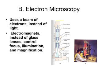 B. Electron Microscopy Uses a beam of electrons, instead of light. Electromagnets, instead of glass lenses, control focus, illumination, and magnification. 