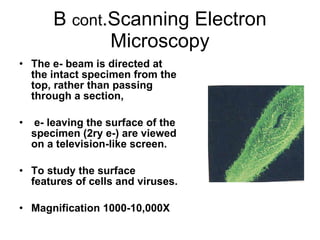 B  cont .Scanning Electron Microscopy The e- beam is directed at the intact specimen from the top, rather than passing through a section, e- leaving the surface of the specimen (2ry e-) are viewed on a television-like screen. To study the surface features of cells and viruses. Magnification 1000-10,000X 