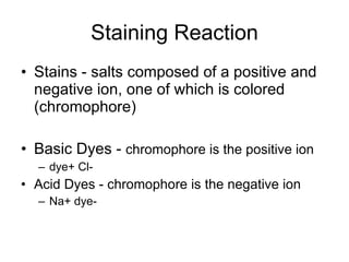 Staining Reaction Stains - salts composed of a positive and negative ion, one of which is colored  (chromophore) Basic Dyes -  chromophore is the positive ion dye+  Cl- Acid Dyes - chromophore is the negative ion Na+   dye- 
