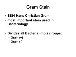 Gram Stain 1884 Hans Christian Gram most important stain used in Bacteriology Divides all Bacteria into 2 groups: Gram (+) Gram (-) 