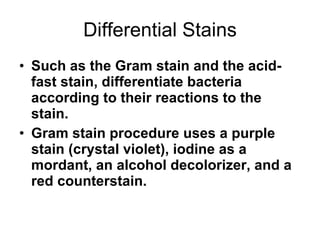 Differential Stains Such as the Gram stain and the acid-fast stain, differentiate bacteria according to their reactions to the stain. Gram stain procedure uses a purple stain (crystal violet), iodine as a mordant, an alcohol decolorizer, and a red counterstain. 