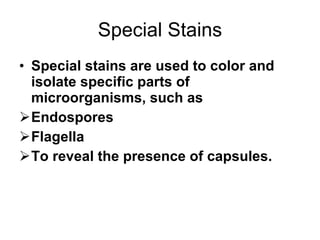 Special Stains Special stains are used to color and isolate specific parts of microorganisms, such as  Endospores Flagella To reveal the presence of capsules. 