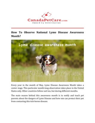 How To Observe National Lyme Disease Awareness
Month?
Every year in the month of May, Lyme Disease Awareness Month takes a
center stage. This particular month-long observation takes place in the United
States only. Other countries follow suit too, but during different months.
The main reason behind this awareness month is to notify and teach pet
parents about the dangers of Lyme Disease and how one can protect their pet
from contacting this tick-borne disease.
 