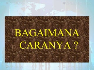 BAGAIMANA
CARANYA ?

 