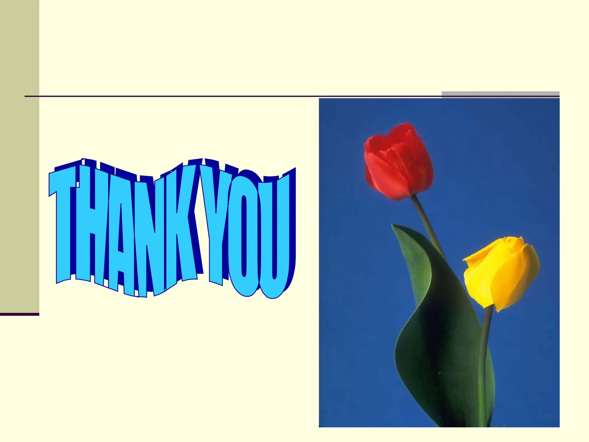 obsessive compulsive disorder and management .ppt