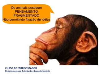 Os animais possuem PENSAMENTO FRAGMENTADO Não permitindo fixação de idéias 