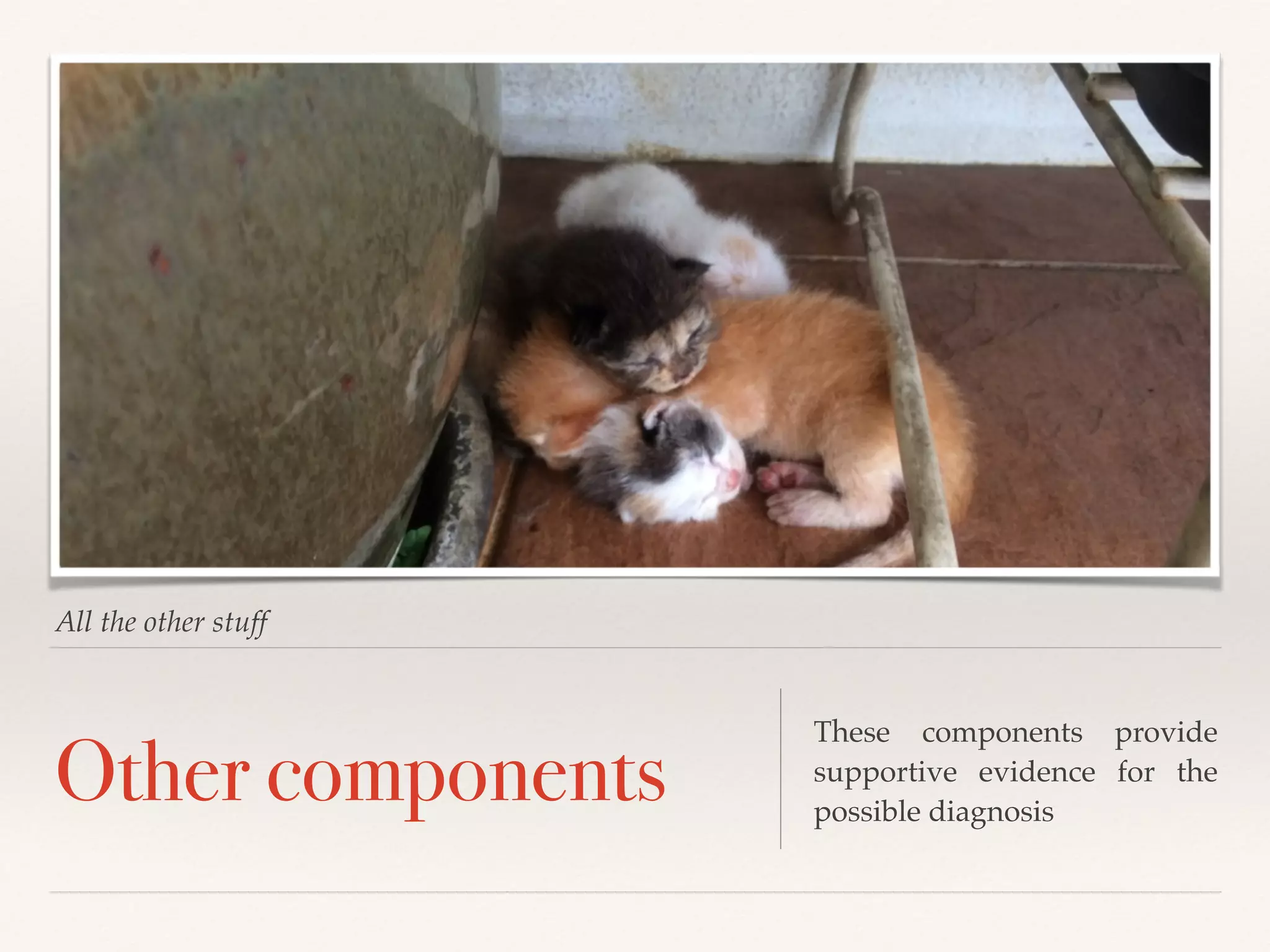 All the other stuff 
Other components These components provide 
supportive evidence for the 
possible diagnosis 
 