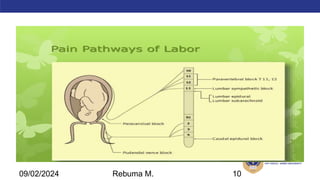 AMBO University School/college name here
09/02/2024 Rebuma M. 10
 