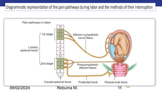 AMBO University School/college name here
09/02/2024 Rebuma M. 11
 