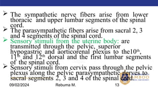 AMBO University School/college name here
 The sympathetic nerve fibers arise from lower
thoracic and upper lumbar segments of the spinal
cord.
 The parasympathetic fibers arise from sacral 2, 3
and 4 segments of the spinal cord.
 Sensory stimuli from the uterine body: are
transmitted through the pelvic, superior
hypogastric and aorticorenal plexus to the10th
,
11th
and 12th
dorsal and the first lumbar segments
of the spinal cord.
 Sensory stimuli from cervix pass through the pelvic
plexus along the pelvic parasympathetic nerves to
sacral segments 2, 3 and 4 of the spinal cord.
09/02/2024 Rebuma M. 13
 