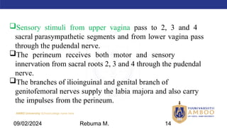 AMBO University School/college name here
Sensory stimuli from upper vagina pass to 2, 3 and 4
sacral parasympathetic segments and from lower vagina pass
through the pudendal nerve.
The perineum receives both motor and sensory
innervation from sacral roots 2, 3 and 4 through the pudendal
nerve.
The branches of ilioinguinal and genital branch of
genitofemoral nerves supply the labia majora and also carry
the impulses from the perineum.
09/02/2024 Rebuma M. 14
 