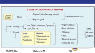 AMBO University School/college name here
09/02/2024 Rebuma M. 16
 