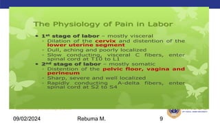 AMBO University School/college name here
09/02/2024 Rebuma M. 9
 