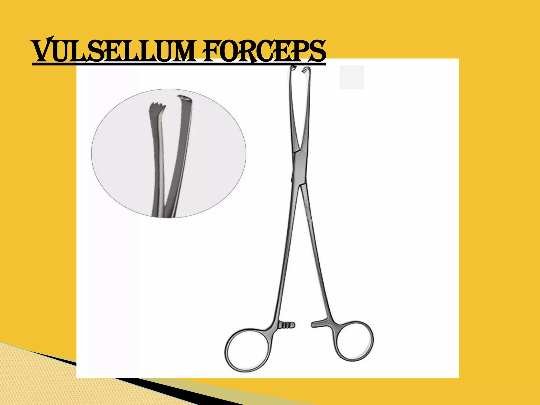 VULSELLUM FORCEPS
 