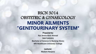 BSCN 3014
OBSTETRIC & GYNAECOLOGY
MINOR AILMENTS
“GENITOURINARY SYSTEM”
Prepared by:
Nur Amira Binti Ahmad
3067141001
Bachelor of Science In Nursing (Hons)
KPJ Healthcare University College
Lecturer:
Madam Norjana 1
 