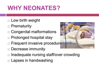 WHY NEONATES?
 Low birth weight
 Prematurity
 Congenital malformations
 Prolonged hospital stay
 Frequent invasive procedures
 Decrease immunity
 Inadequate nursing staff/over crowding
 Lapses in handwashing
 