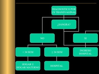 DIAGNOSTICO POR US TRANSVAGINAL ¿SANGRA? NO SI < 34 SEM ≥  34 SEM HOGAR U HOGAR MATERNO HOSPITAL INGRESO HOSPITAL 