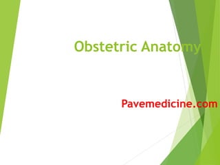 Obstetric Anatomy 
Pavemedicine.com 
 