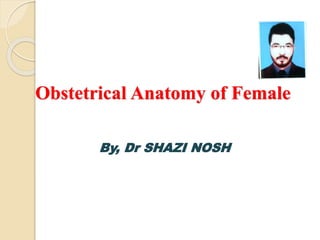 Obstetrical Anatomy of Female
By, Dr SHAZI NOSH
 