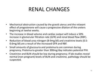 RENAL CHANGES
• Mechanical obstruction caused by the gravid uterus and the relaxant
effect of progesterone will cause a progressive dilation of the ureters
beginning at twelve weeks.
• The increase in blood volume and cardiac output will induce a 50%
increase in glomerular filtration rate (GFR) and renal blood flow (RBF).
• Reduction of blood urea nitrogen (8-9mg/dl) and creatinine levels (0.5-
0.6mg/dl) are a result of the increased GFR and RBF.
• Small amounts of glucosuria and proteinuria are common during
pregnancy. Proteinuria greater than 300mg/day indicates potential PIH.
• Creatinine and BUN should be low during pregnancy. If lab studies reveal
normal (non-pregnant) levels of BUN and creatinine, pathology should be
suspected.
16
 