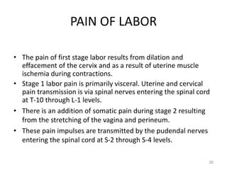 PAIN OF LABOR
• The pain of first stage labor results from dilation and
effacement of the cervix and as a result of uterine muscle
ischemia during contractions.
• Stage 1 labor pain is primarily visceral. Uterine and cervical
pain transmission is via spinal nerves entering the spinal cord
at T-10 through L-1 levels.
• There is an addition of somatic pain during stage 2 resulting
from the stretching of the vagina and perineum.
• These pain impulses are transmitted by the pudendal nerves
entering the spinal cord at S-2 through S-4 levels.
28
 