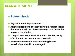 MANAGEMENT
Before shock
 Urgent manual replacement
 After replacement, the hand should remain inside
the uterus until the uterus become contracted by
parentral oxytocics.
 The placenta should be removed manually only
after the uterus becomes contracted.
 Usual treatment of shock including blood
transfusion should be arranged.
 