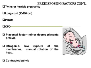 PREDISPOSING FACTORS CONT..
Twins or multiple pregnancy
Long cord (90-100 cm)
PROM
CPD
 Placental factor- minor degree placenta
praevia
 Iatrogenic- low rupture of the
membranes, manual rotation of the
head.
 Contracted pelvis
 
