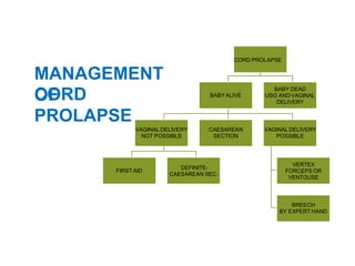 CORD PROLAPSE
BABYALIVE
VAGINAL DELIVERY
NOT POSSIBLE
FIRSTAID
DEFINITE-
CAESAREAN SEC.
CAESAREAN
SECTION
VAGINAL DELIVERY
POSSIBLE
VERTEX
FORCEPS OR
VENTOUSE
BREECH
BY EXPERT HAND
BABY DEAD
USG AND VAGINAL
DELIVERY
MANAGEMENT
OFCORD
PROLAPSE
 