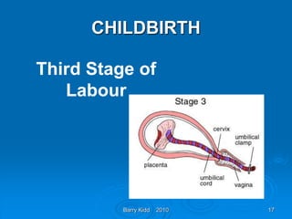 Barry Kidd 2010 17
CHILDBIRTH
Third Stage of
Labour
 