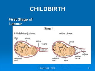 Barry Kidd 2010 6
CHILDBIRTH
First Stage of
Labour
 