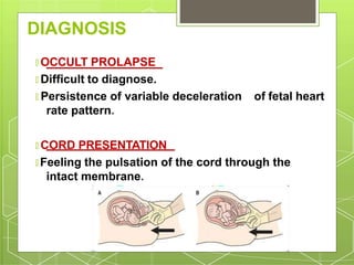 DIAGNOSIS
🞇 OCCULT PROLAPSE
🞇 Difficult to diagnose.
🞇 Persistence of variable deceleration of fetal heart
rate pattern.
🞇 CORD PRESENTATION
🞇 Feeling the pulsation of the cord through the
intact membrane.
 