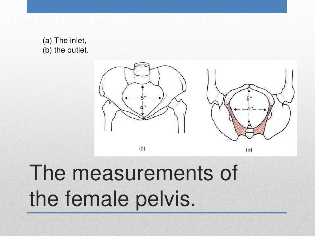 Obstetrical pelvic measurements
