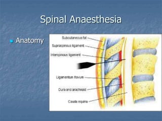Spinal Anaesthesia
 Anatomy
 