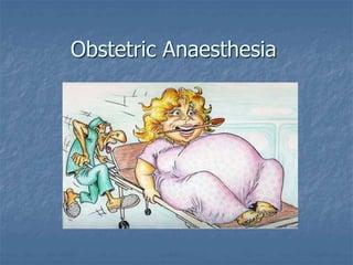 Obstetric Anaesthesia
 