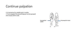 Continue palpation
• In transverse lie, pawliks grip is empty.
• If not engaged the presenting part can be grasped
and moved side to side.
 